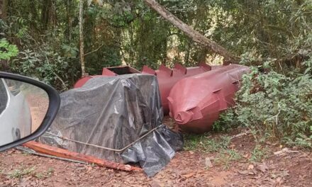 Empresa é autuada por garimpo ilegal no Rio Lambari, em Cambuquira