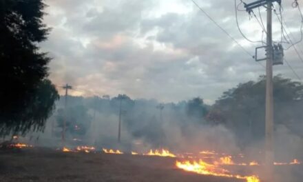 Queimadas deixam 11 mil sem energia  