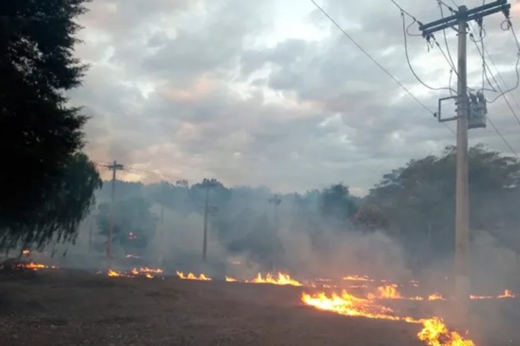 Queimadas deixam 11 mil sem energia  