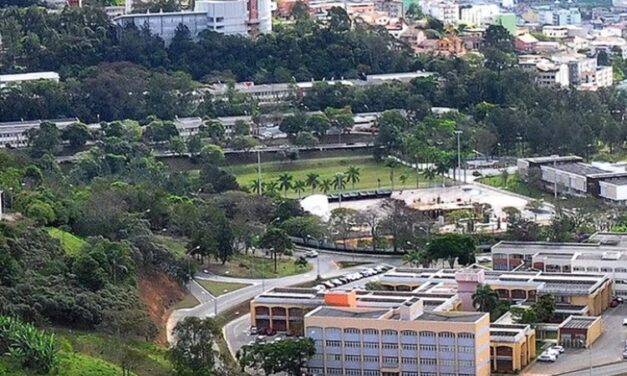 Professores da UFJF no ranking  