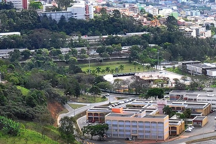Professores da UFJF no ranking  