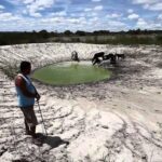 Agro sofre prejuízos de R$ 875 mi  