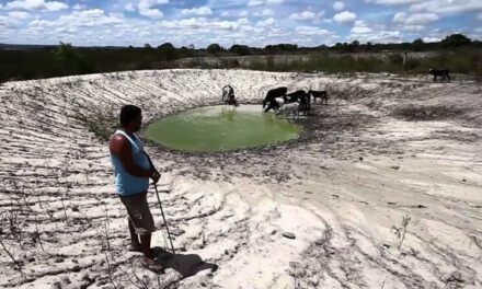Agro sofre prejuízos de R$ 875 mi