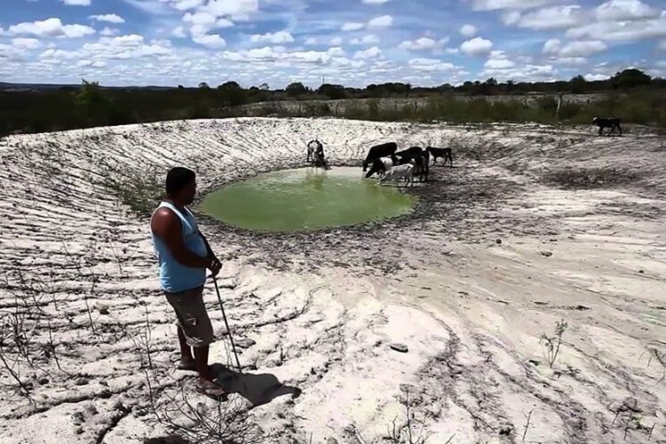 Agro sofre prejuízos de R$ 875 mi  