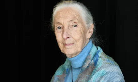 Morre Jane Goodall, ícone da primatologia e defensora do meio ambiente, aos 91 anos