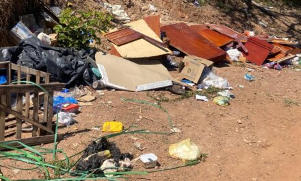 Cabe à Prefeitura cuidar da limpeza, porém, também é dever da população evitar o descarte de lixo em locais impróprios: parte 2