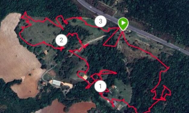 Bombeiros e Polícia Civil fazem operação conjunta em busca de homem desaparecido na BR-354