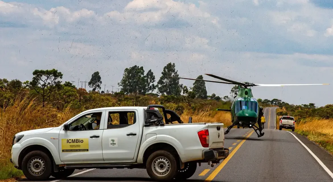 Incêndios na Chapada dos Veadeiros são praticamente extintos com ajuda das chuvas