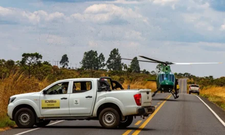 Incêndios na Chapada dos Veadeiros são praticamente extintos com ajuda das chuvas