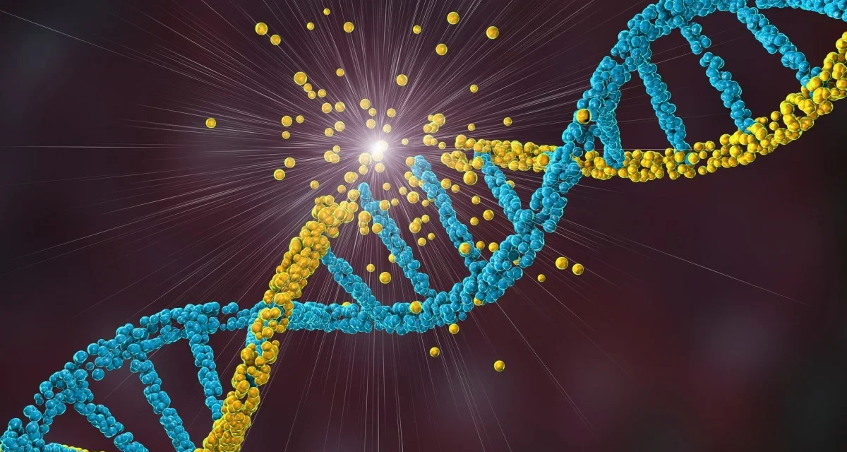 Cientistas identificam nova doença genética rara que afeta os músculos