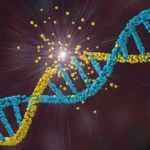 Cientistas identificam nova doença genética rara que afeta os músculos