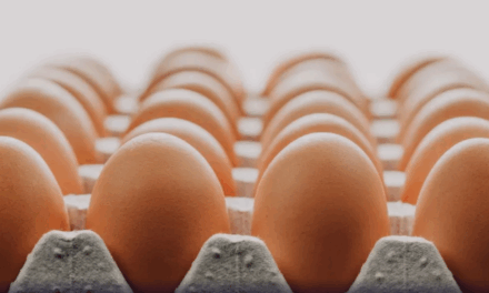 Cotações dos ovos branco e vermelho recuam e alcançam patamar mais baixo do ano