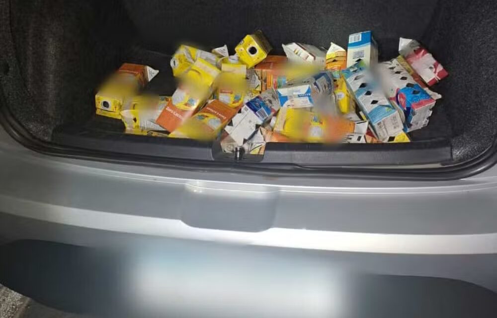 Pássaros silvestres são apreendidos em Divinópolis após serem encontrados em caixas de leite