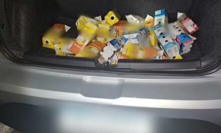 Pássaros silvestres são apreendidos em Divinópolis após serem encontrados em caixas de leite