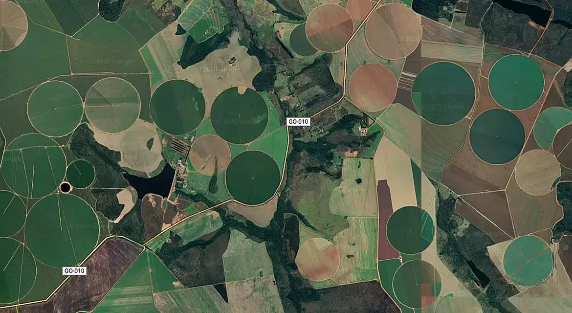 Cerrado perde 40,5 milhões de hectares em 40 anos, aponta estudo do MapBiomas