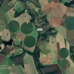Cerrado perde 40,5 milhões de hectares em 40 anos, aponta estudo do MapBiomas