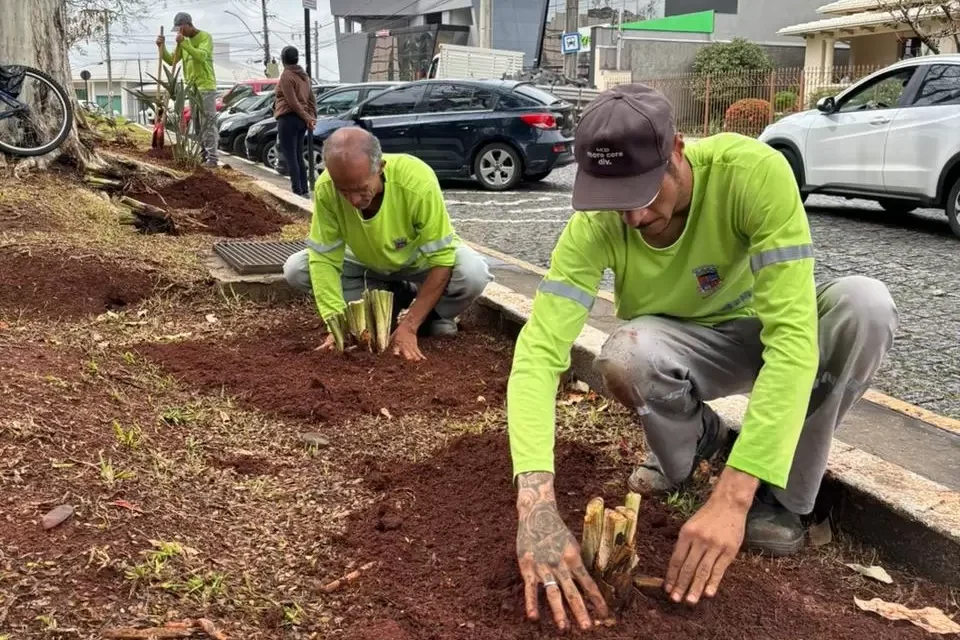 Início da temporada de plantio nas praças de Formiga