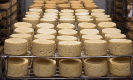 Queijo contaminado e suplemento sem licença são alvo de ação da Anvisa