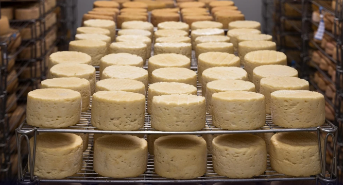 Queijo contaminado e suplemento sem licença são alvo de ação da Anvisa