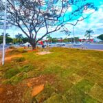 Revitalização do complexo da Rodoviária de Formiga avança com plantio de grama nos jardins