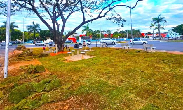 Revitalização do complexo da Rodoviária de Formiga avança com plantio de grama nos jardins