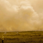 Cientistas alertam: calor extremo mata mais de meio milhão de pessoas anualmente