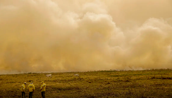 Cientistas alertam: calor extremo mata mais de meio milhão de pessoas anualmente
