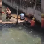 Sucuri gigante de 5 metros é resgatada pelos bombeiros em Caldas Novas