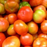Preço do tomate dispara no atacado e sobe até 52% em Belo Horizonte