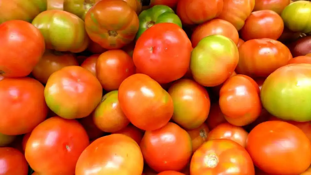 Preço do tomate dispara no atacado e sobe até 52% em Belo Horizonte