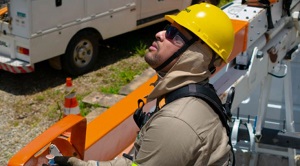 Cemig tem 300 vagas para jovens aprendizes; inscrições vão até domingo