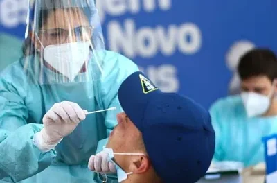 Novo coronavírus é encontrado em morcegos no Brasil com traço similar ao da Covid