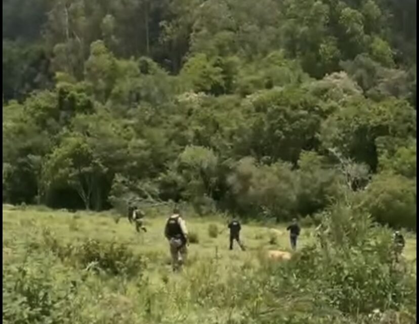 Mais dois detentos que fugiram da Penitenciária de Formiga são encontrados em Betânia