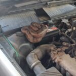 Jiboia se abriga em motor de carro e é resgatada pelos bombeiros no bairro Novo Horizonte, em Formiga