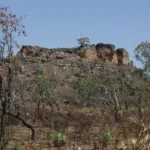Agência Brasil e Radioagência Nacional lançam série especial sobre avanço do agronegócio no Cerrado