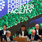 Em Belém, Lula propõe fundo de US$ 125 bilhões para preservar florestas tropicais