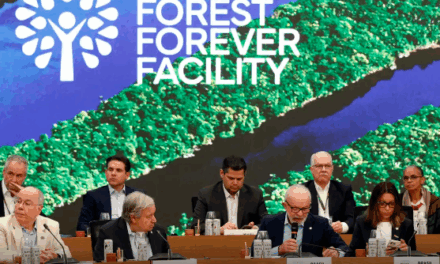 Em Belém, Lula propõe fundo de US$ 125 bilhões para preservar florestas tropicais