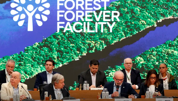 Em Belém, Lula propõe fundo de US$ 125 bilhões para preservar florestas tropicais