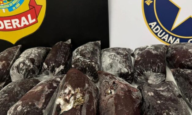 Adolescente é apreendido com 19 kg de haxixe escondidos em açaí no aeroporto de Confins