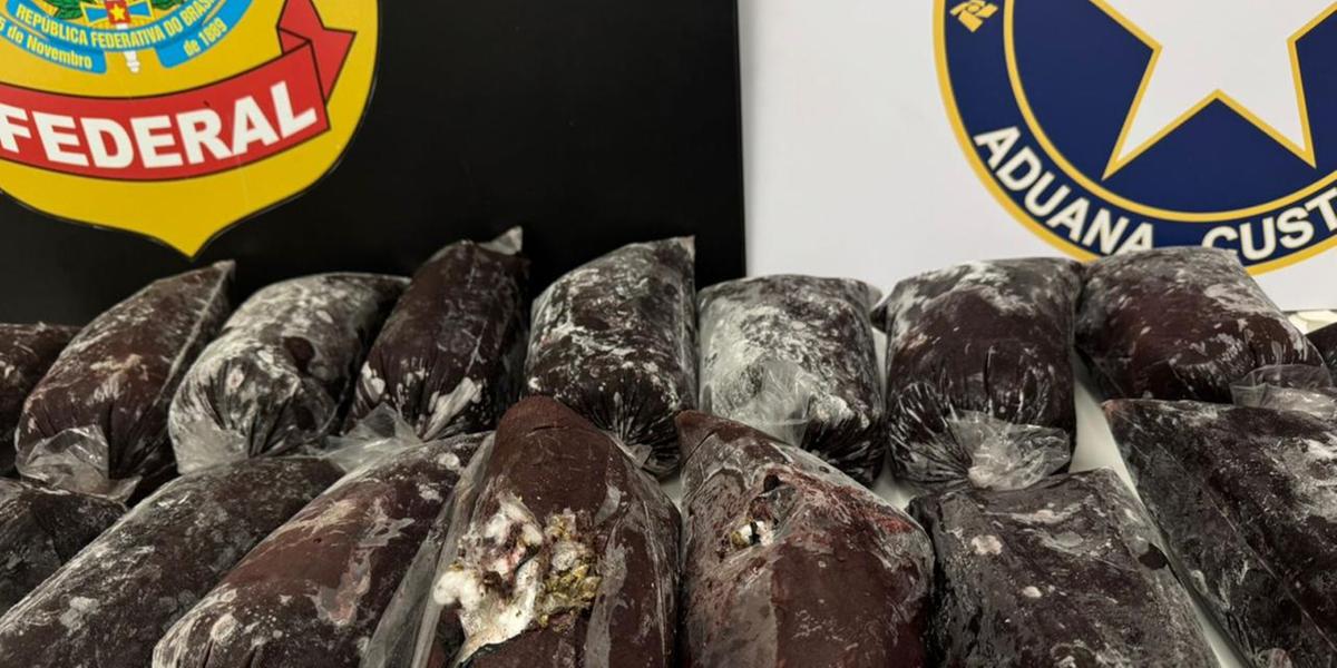 Adolescente é apreendido com 19 kg de haxixe escondidos em açaí no aeroporto de Confins