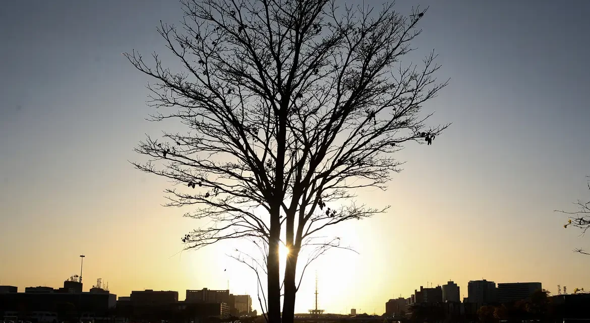 Cientista alerta para dificuldade em conter aquecimento global dentro da meta do Acordo de Paris