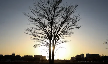 Cientista alerta para dificuldade em conter aquecimento global dentro da meta do Acordo de Paris