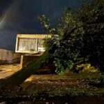 Árvore cai sobre casa no bairro Serrano, em Belo Horizonte, e outra ameaça desabar