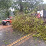 Temporal provoca queda de árvore e interdição de rodovia em Pains