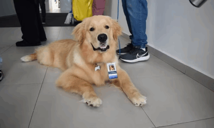 Pacientes de Divinópolis poderão receber visitas de seus animais de estimação
