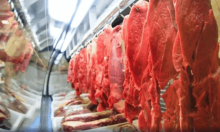 Exportadores de carne bovina esperam fim das tarifas adicionais dos EUA em até dois meses