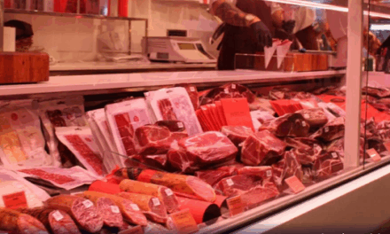 Setor de carne bovina espera retomada com 13º enquanto exportações atingem novo patamar