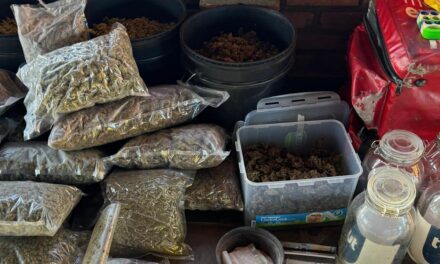 Operação “Crème de la Crème” combate tráfico de drogas de alto padrão e lavagem de dinheiro em Minas Gerais