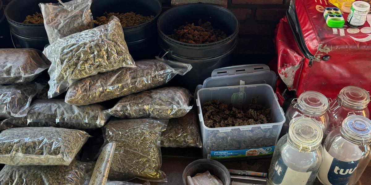 Operação “Crème de la Crème” combate tráfico de drogas de alto padrão e lavagem de dinheiro em Minas Gerais