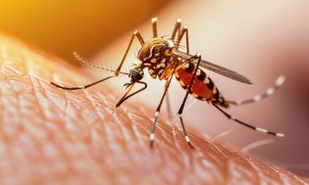 Formiga promove semana de mobilização contra dengue, zika e chikungunya